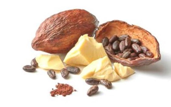 Theobroma Cacao (Cocoa) Seed Butter